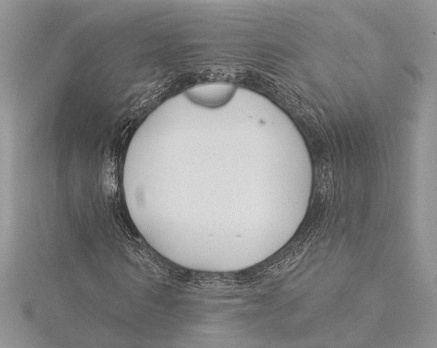 X0000115430962200912020921