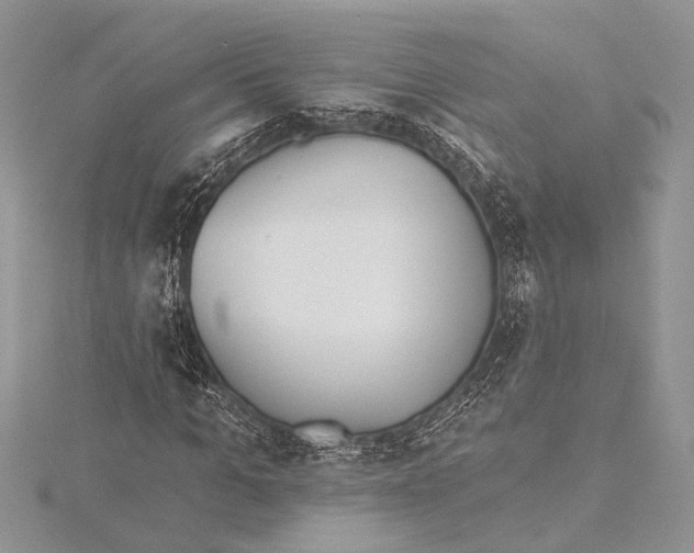 X0000115430965200912020921