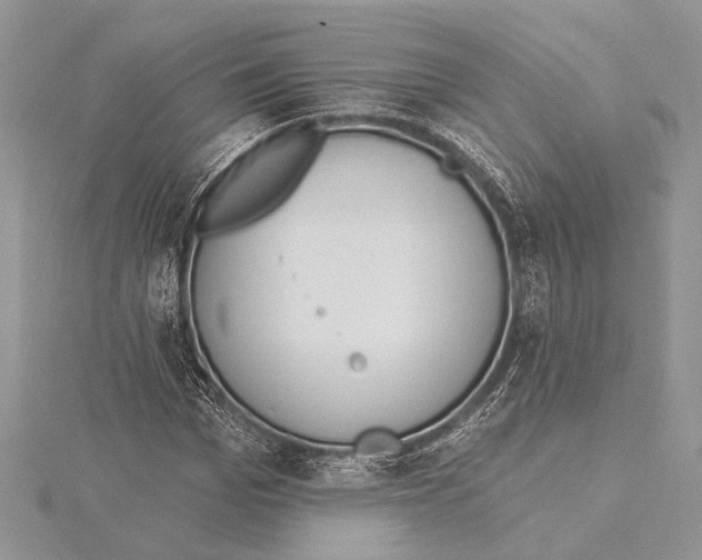 X0000115430969200912020921