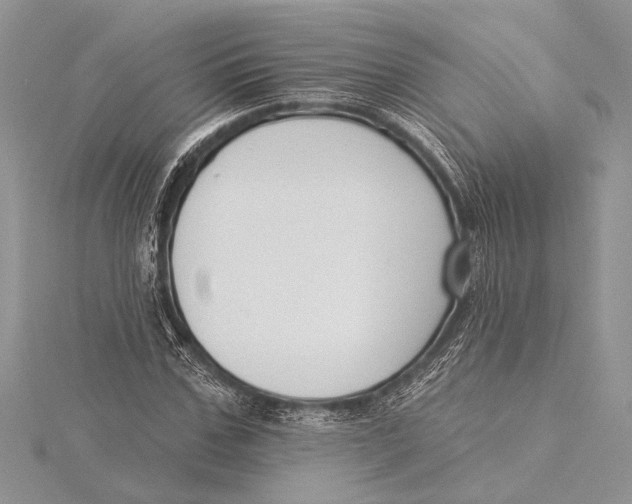 X0000115430971200912020921