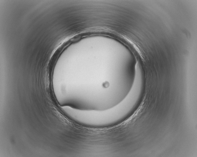 X0000115430973200912020921