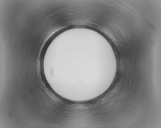 X0000115430976200912020921