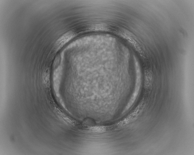 X0000115430977200912020921