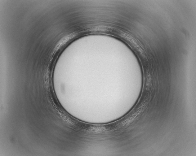 X0000115430978200912020921