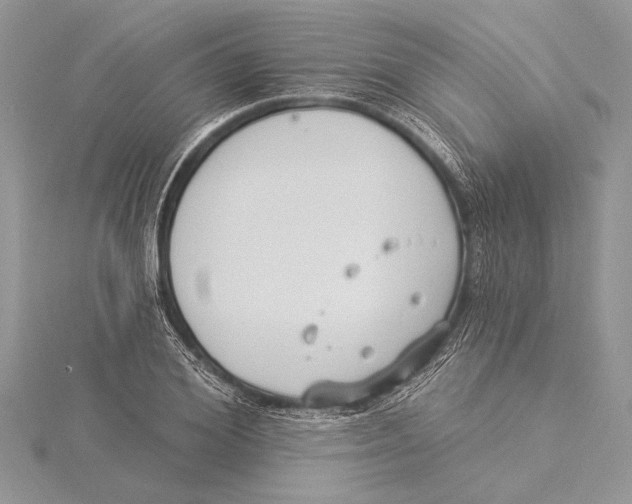 X0000115430980200912020921