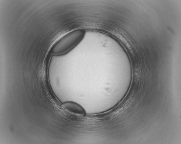 X0000115430981200912020921