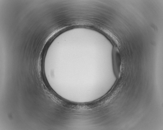 X0000115430983200912020921