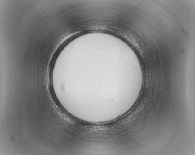 X0000115430984200912020921