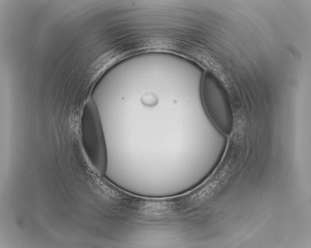 X0000115430985200912020921