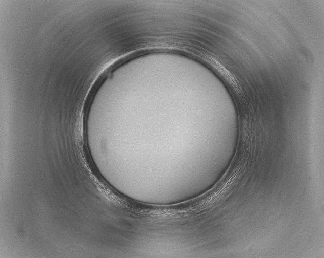 X0000115430988200912020921