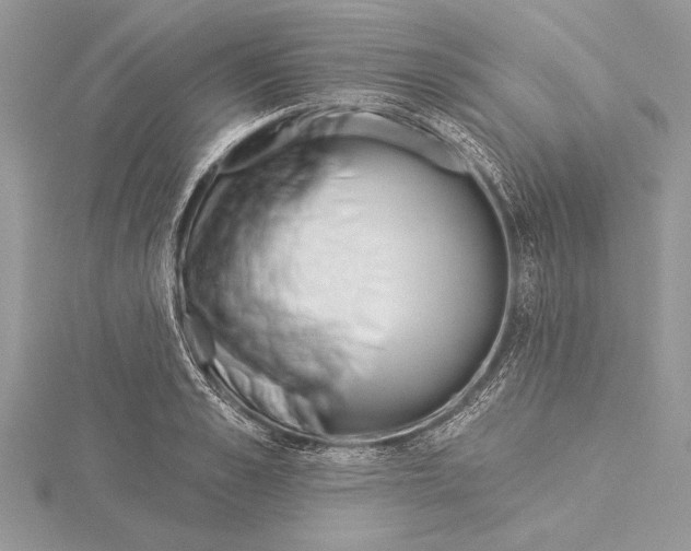 X0000115430989200912020921