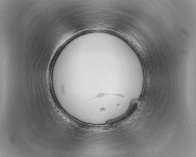 X0000115430990200912020921