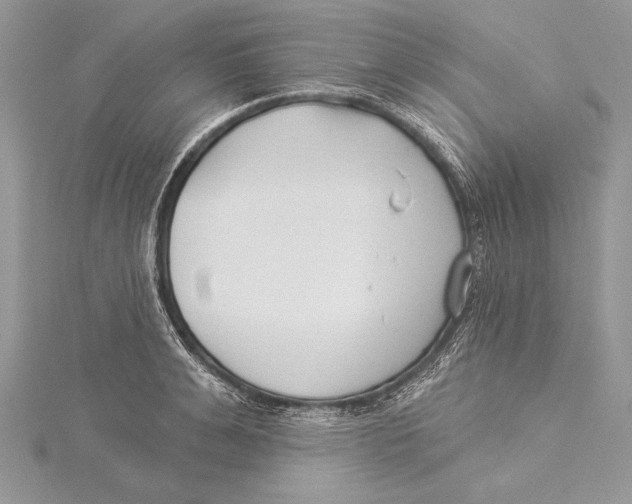 X0000115430991200912020921