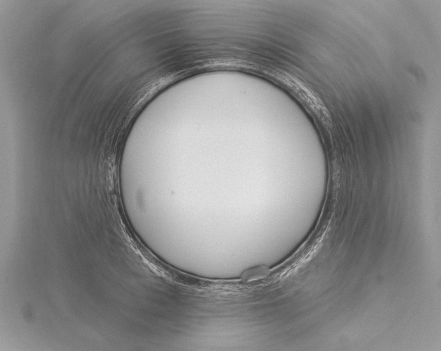 X0000115430993200912020920