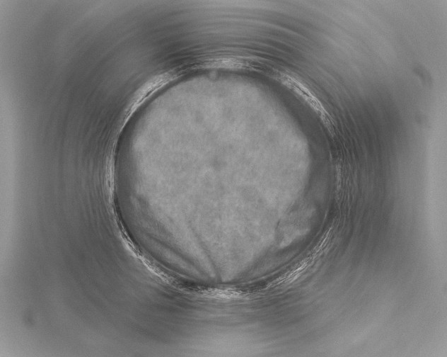 X0000115430994200912020920