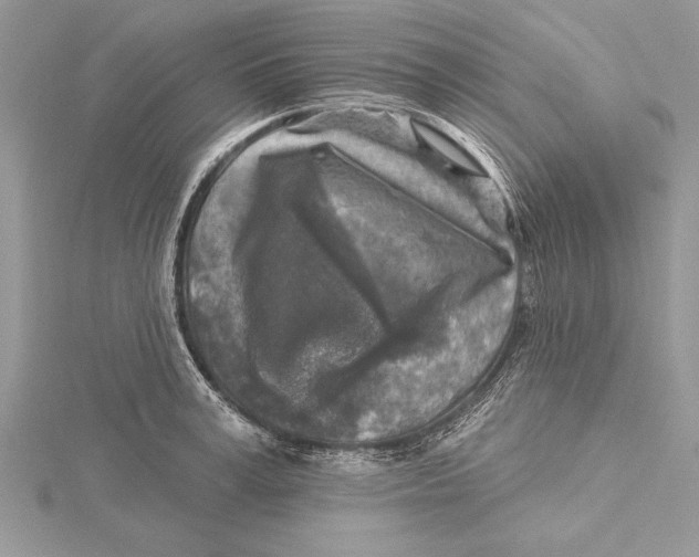 X0000115430995200912020920