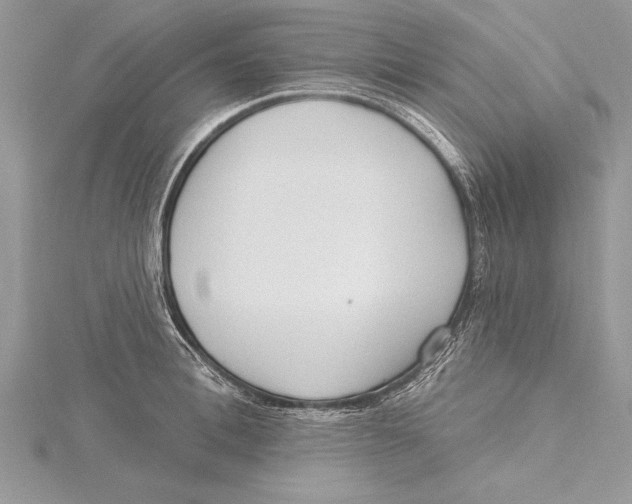 X0000115430996200912020920