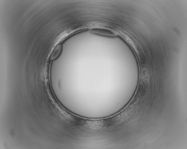 X0000115430997200912020920