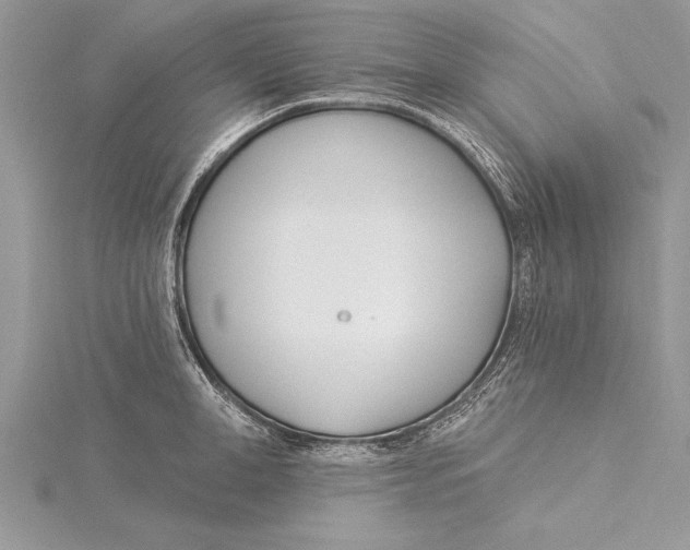 X0000115430998200912020920