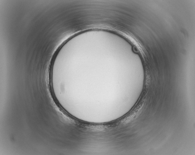 X0000115430999200912020920