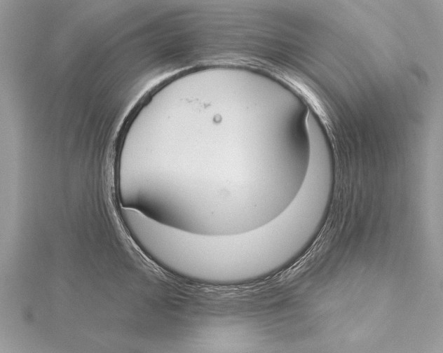 X0000115431000200912020920