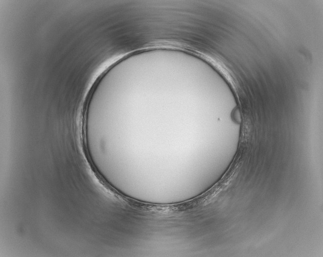 X0000115431003200912020920