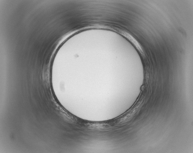 X0000115431004200912020920