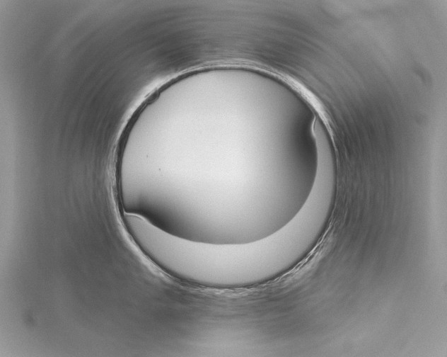 X0000115431005200912020920