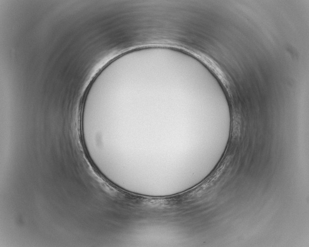 X0000115431006200912020920