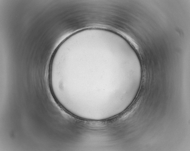 X0000115431007200912020920