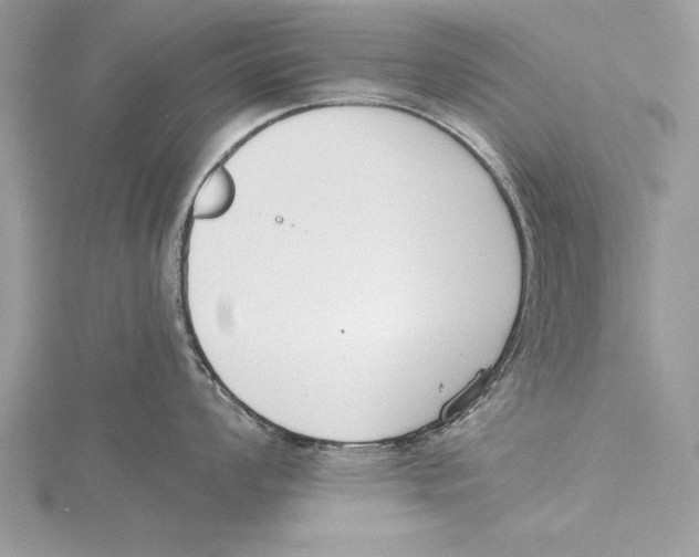 X0000115431008200912020920