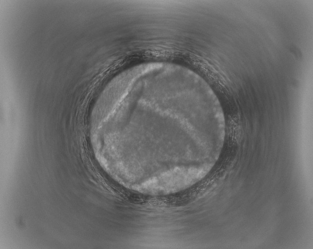 X0000115431009200912020920