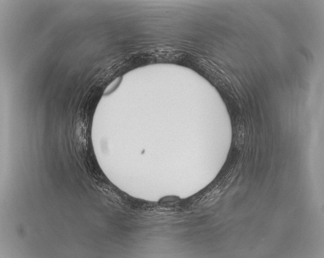 X0000115431010200912020920