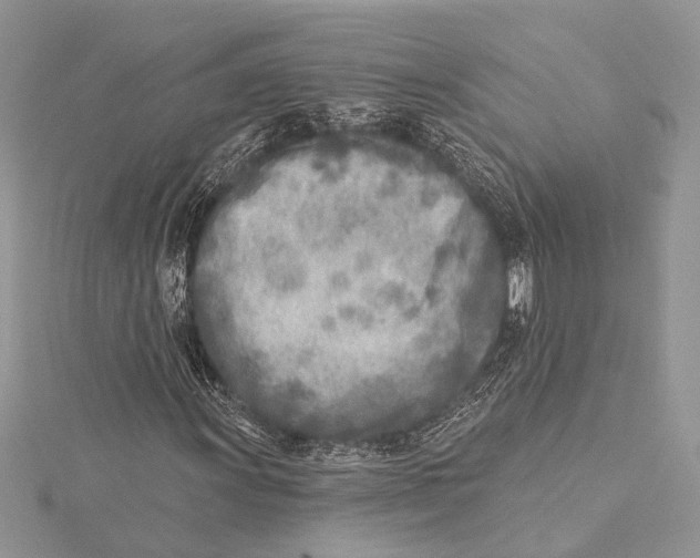 X0000115431011200912020920