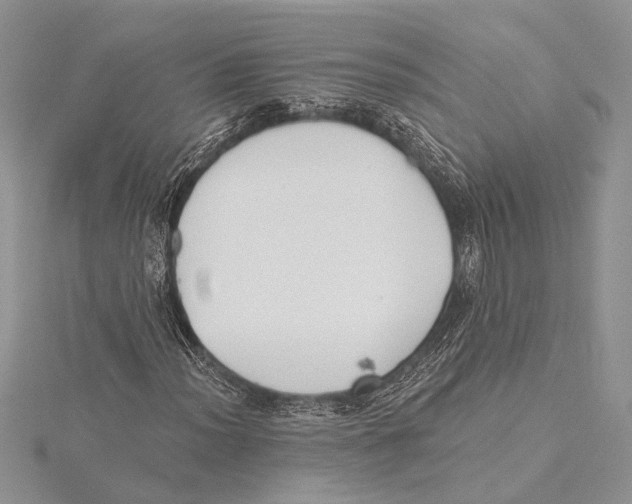 X0000115431012200912020920