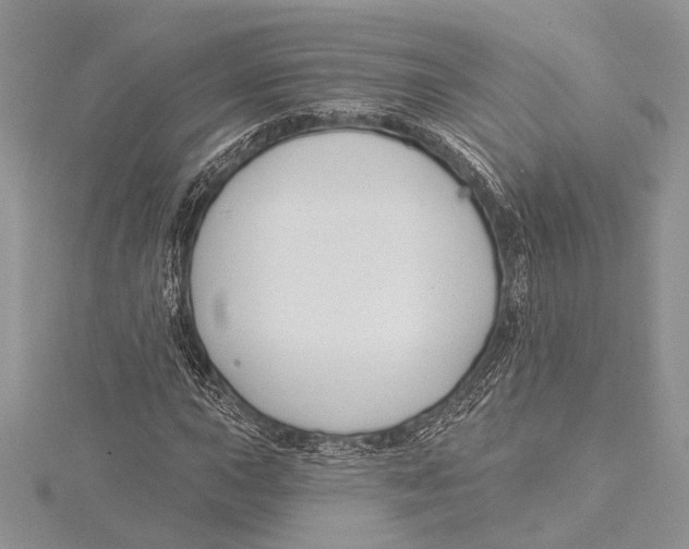 X0000115431015200912020920