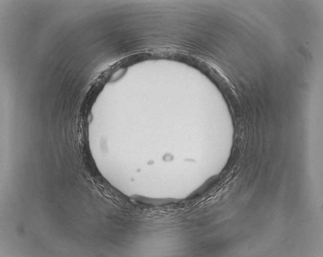 X0000115431016200912020920