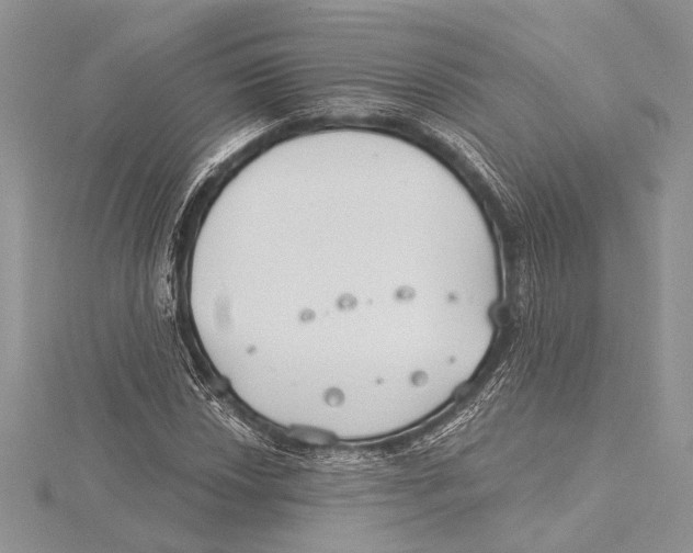 X0000115431018200912020920