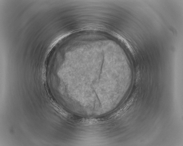 X0000115431019200912020920