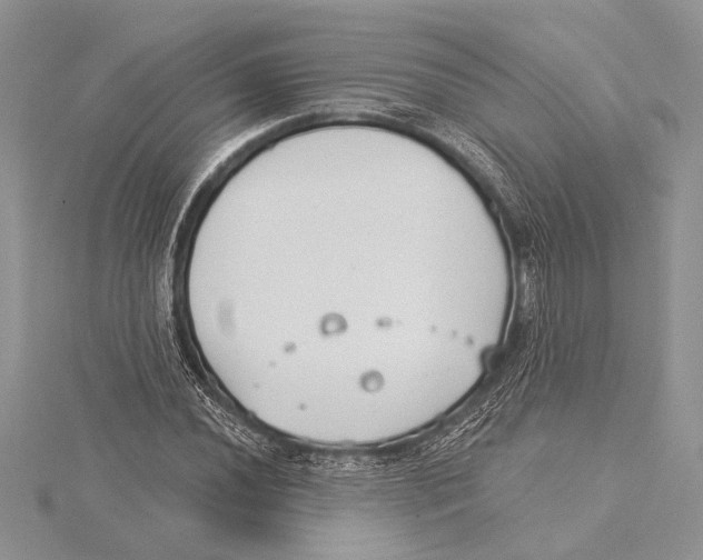 X0000115431020200912020920