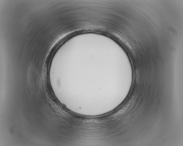 X0000115431021200912020920