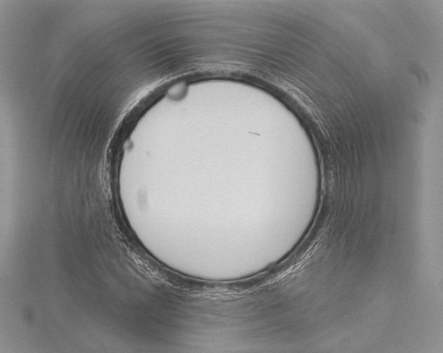 X0000115431022200912020920