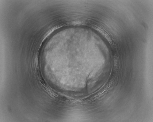 X0000115431023200912020920