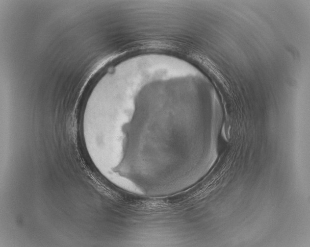 X0000115431024200912020920