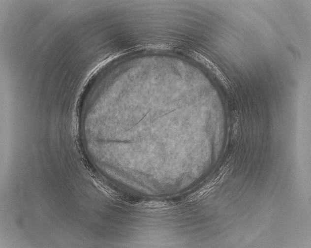 X0000115431027200912020920