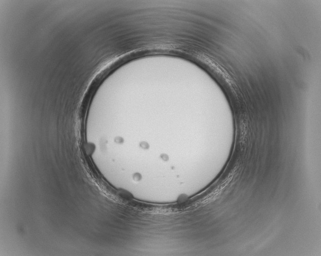 X0000115431029200912020920