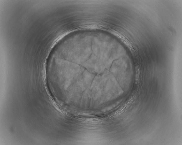 X0000115431031200912020920