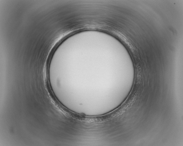 X0000115431032200912020920