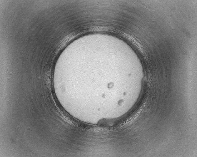 X0000115431033200912020920