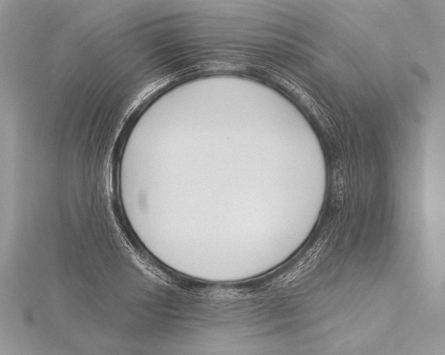 X0000115431034200912020920